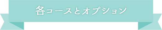 各コースとオプション